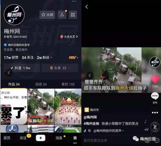 抖音24小时播放量提升,ks在线直播人气下单平台免费服务推荐-图2 抖音24小时播放量提升,ks在线直播人气下单平台免费服务推荐-图2