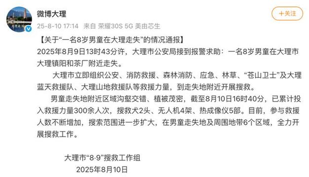 大理8岁男童搜救进展官方通报-图1