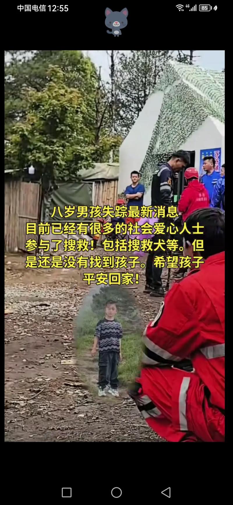 大理8岁男童搜救进展官方通报-图2