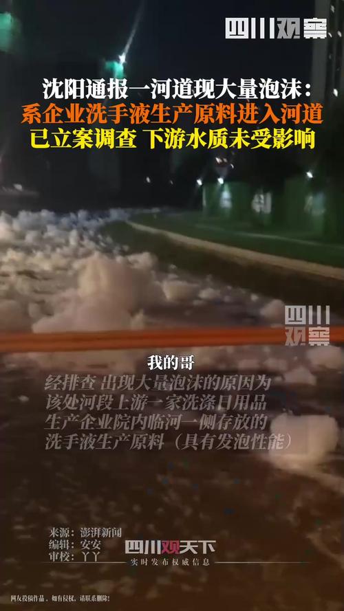 沈阳河流泡沫事件，官方立案调查-图1