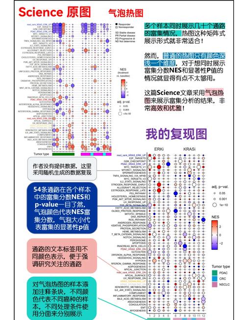 热图制作全攻略,从零到精通-图2 热图制作全攻略,从零到精通-图2