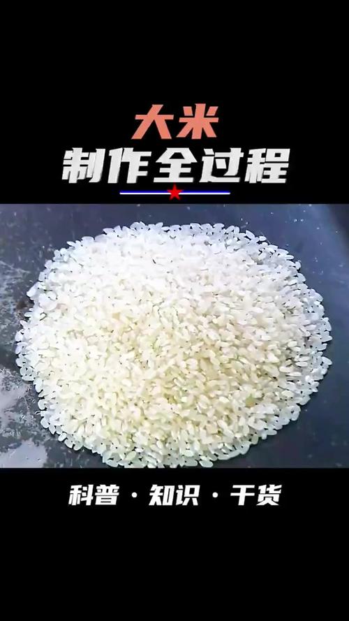 稻谷剪辑视频制作教程-图1