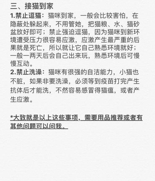 猫咪的拨号奇遇，揭秘猫类如何使用电话-图3