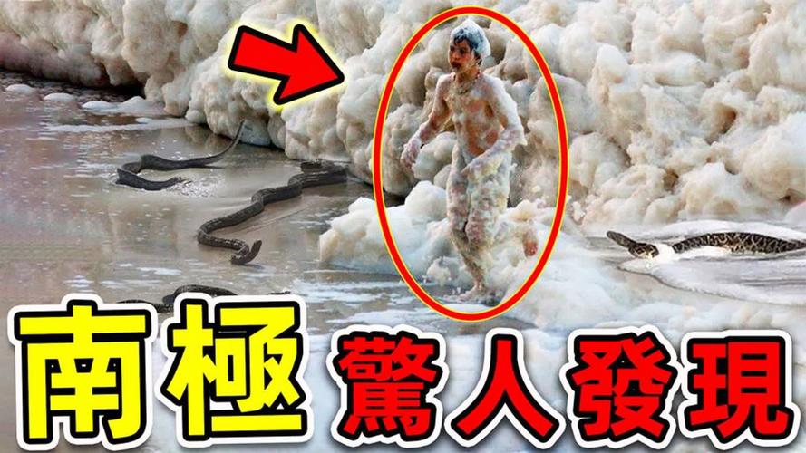 南极揭秘，66年前冰封遗骸重现世间-图3