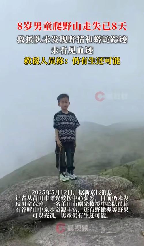 苍山悲剧，8岁男童走失不幸遇难，大理警方全力搜救-图1
