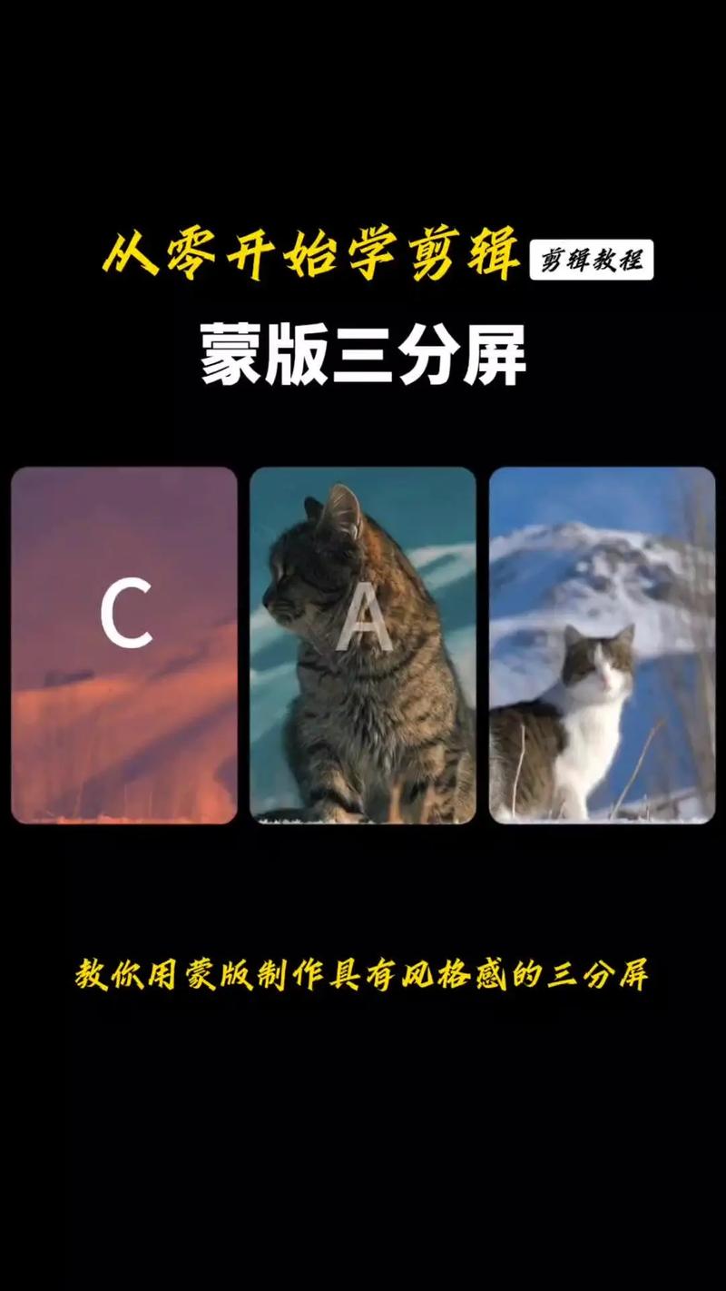 分屏视频剪辑技巧揭秘-图2