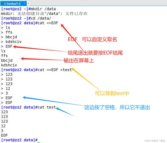 在CentOS上轻松编写与执行Shell脚本指南-图3