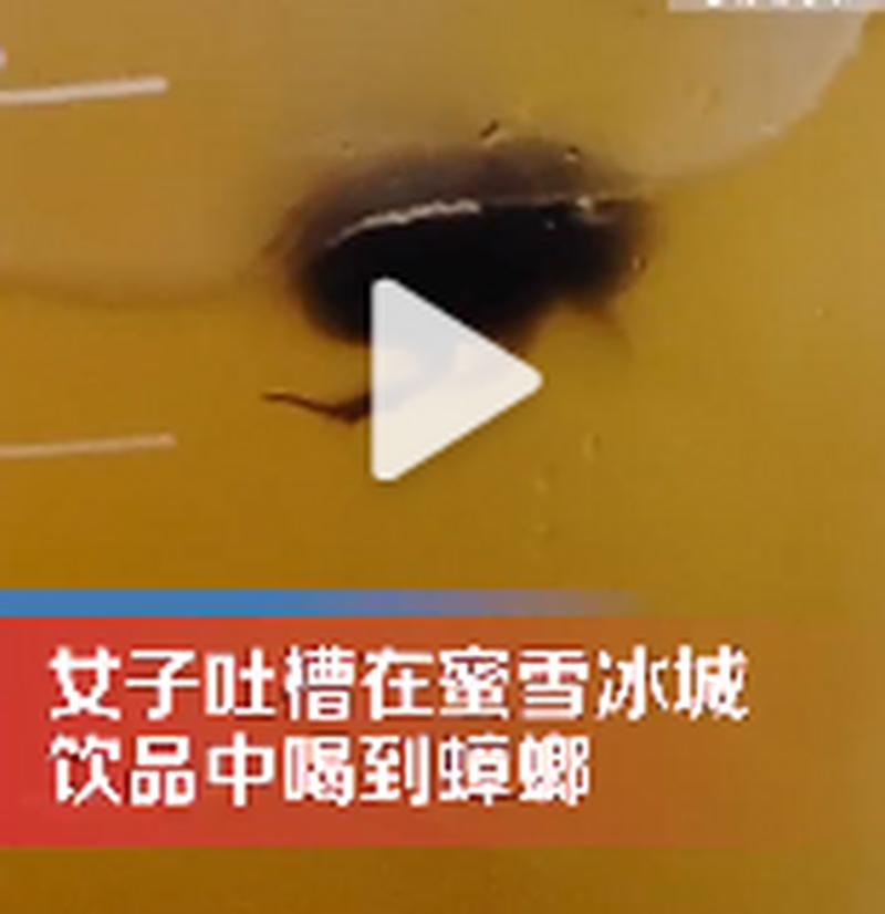 蜜雪冰城奶茶现蟑螂，消费者索赔1000元引关注-图3