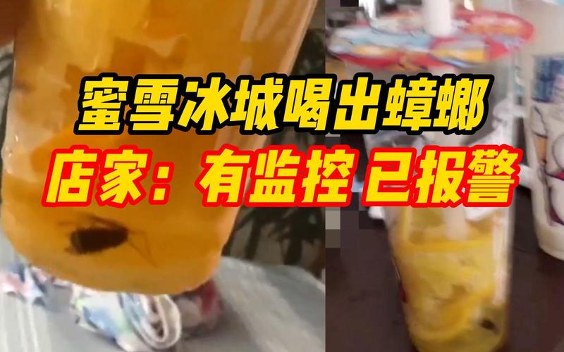 蜜雪冰城奶茶现蟑螂，消费者索赔1000元引关注-图2
