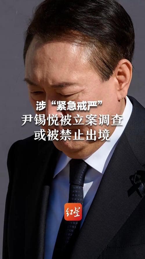 尹锡悦戴镣铐狱外就医，穿囚服曝光-图2