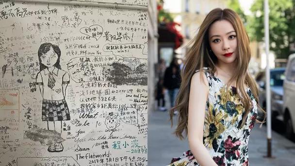 张靓颖旧居楼道粉丝涂鸦事件引发社区关注-图3