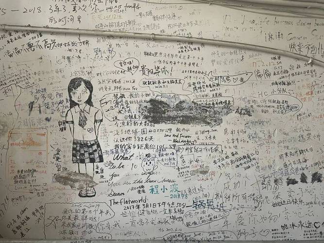 张靓颖旧居楼道粉丝涂鸦事件引发社区关注-图2