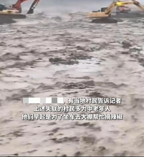 印巴两国暴雨山洪肆虐，逾260人遇难-图2