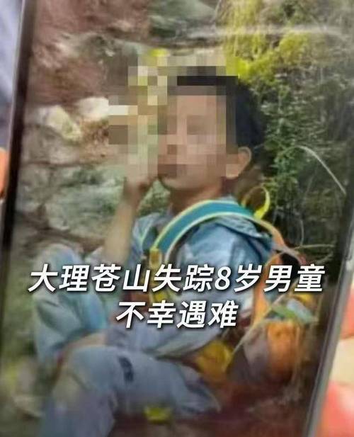 洱海走失自闭症儿童安全找回-图3