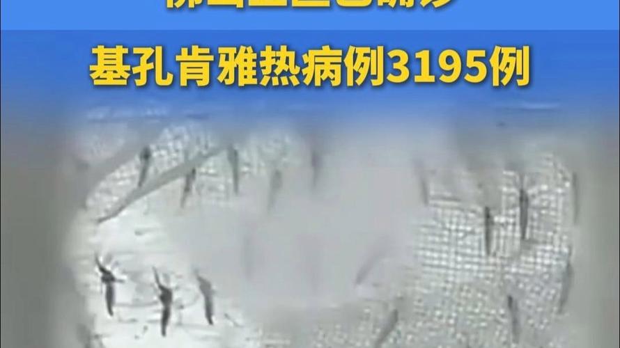 佛山现基孔肯雅热疫情，新增确诊病例52例-图2