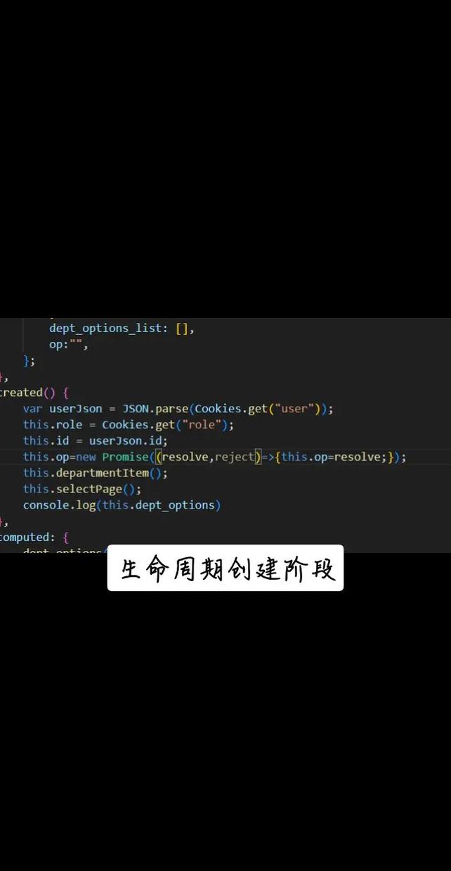 Vue移动端项目常见错误排查与解决指南-图2 Vue移动端项目常见错误排查与解决指南-图2
