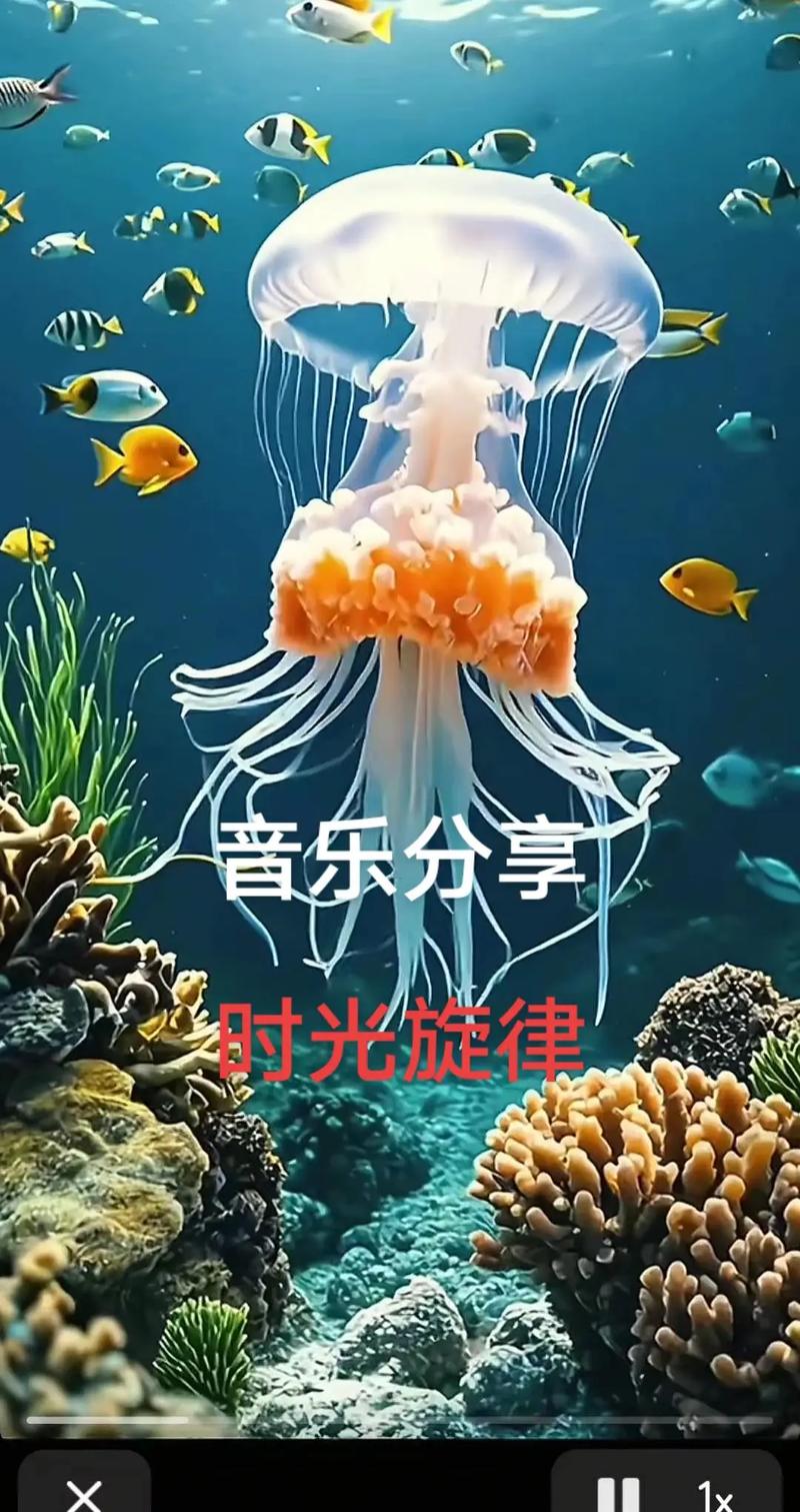 大海音乐视频高效剪辑技巧解析-图3