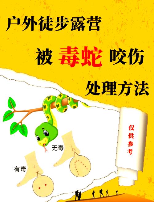 生死瞬间，男子被毒蛇咬伤紧急拦车自救记-图2