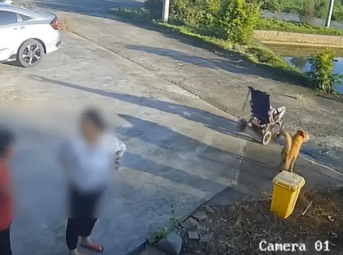 女子涉嫌推走他人婴儿车事件引发关注-图1