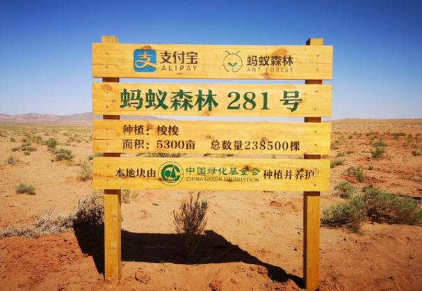 马云探访绿色奇迹,蚂蚁森林生态之旅-图3 马云探访绿色奇迹,蚂蚁森林生态之旅-图3