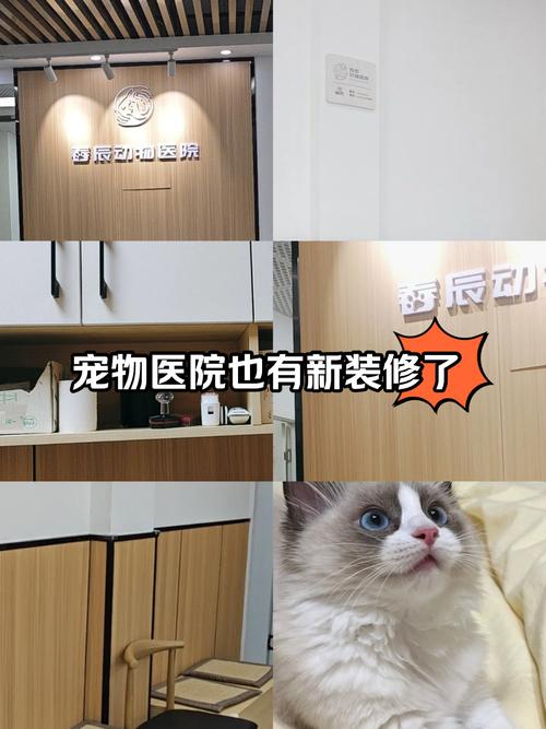 北京动物医院年接诊量突破十万大关-图3