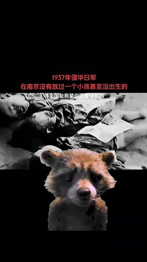 钟南山回忆南京轰炸,儿时经历的战争阴影-图2 钟南山回忆南京轰炸,儿时经历的战争阴影-图2