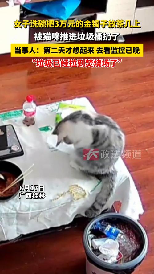 价值3万金镯子不慎被猫推入垃圾桶，遭遇不幸扔弃-图2
