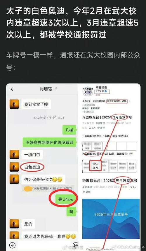 武汉大学肖同学处罚公告疑被内部隐藏处理-图3