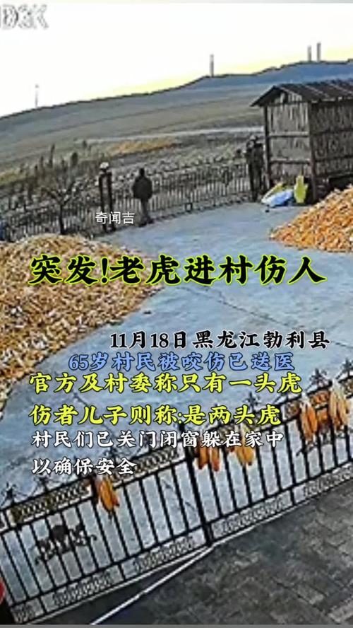 湖北村民遭遇老虎袭击事件通报发布-图3