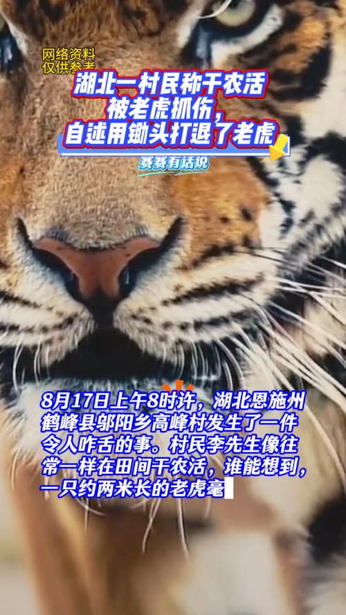 湖北村民遭遇老虎袭击事件通报发布-图2