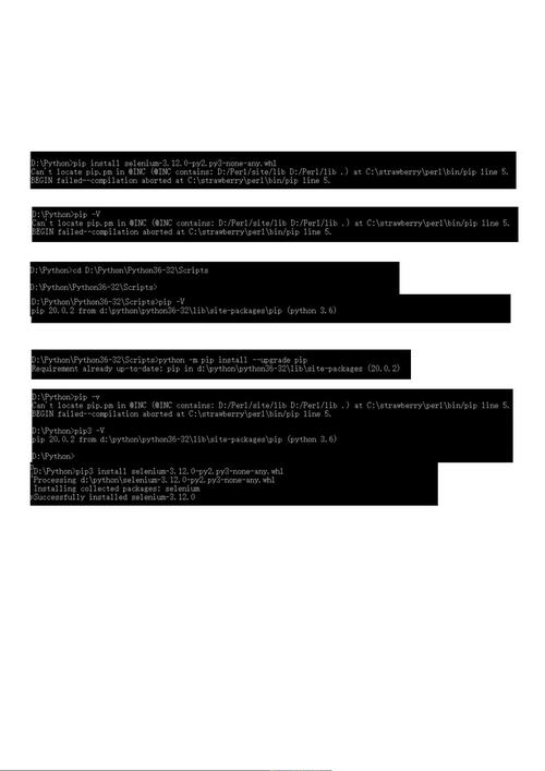 Selenium打包错误处理指南-图2