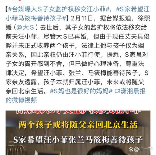 抚养权争夺战升级，男子怒捅前妻闺蜜三刀-图3