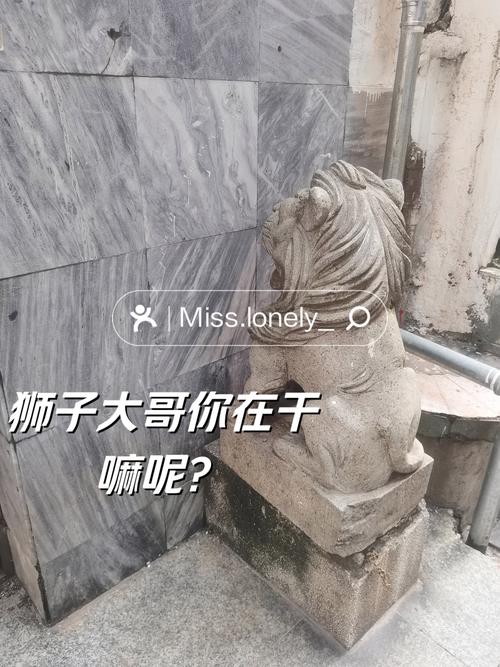 动物园狮子不爱洗澡成网红，形象酷似乞丐引关注-图3