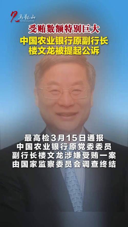 中国农行前副行长楼文龙被判无期徒刑-图3