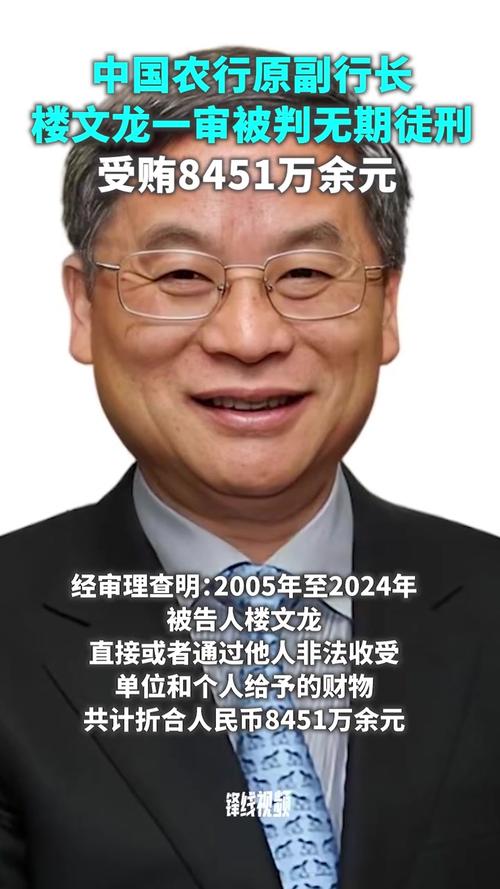 中国农行前副行长楼文龙被判无期徒刑-图1