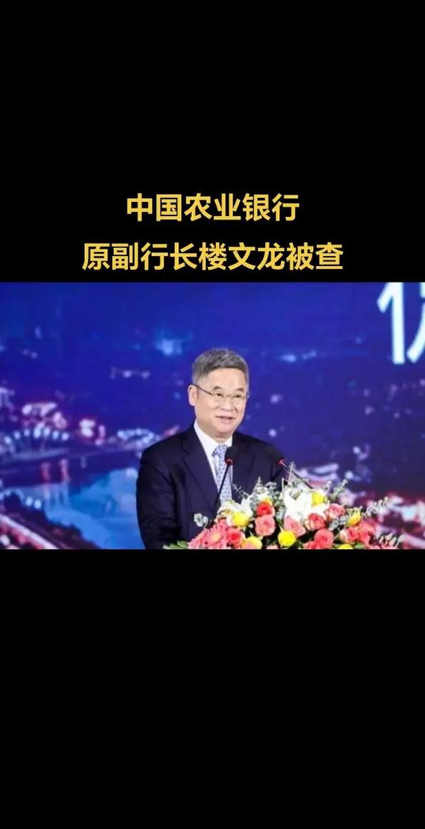 中国农行前副行长楼文龙被判无期徒刑-图2