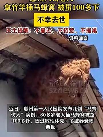 高龄老人捅马蜂窝不幸丧生，引发社会关注-图1
