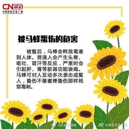 高龄老人捅马蜂窝不幸丧生，引发社会关注-图2