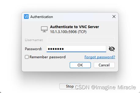 CentOS系统下X Window VNC配置指南-图3