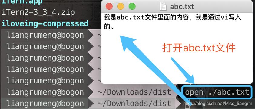 轻松掌握，vi文件打开全攻略-图2