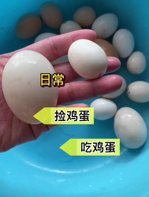 酒店早餐外带禁令引发女子毁蛋事件-图2