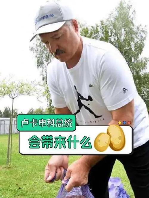 白俄罗斯总统卢卡申科计划携土豆访问中国-图1