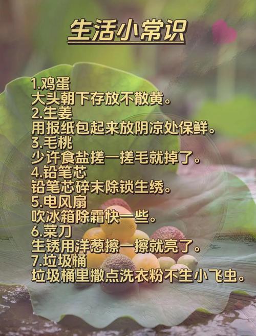 鸡蛋储存误区，清洗前还是清洗后？-图3