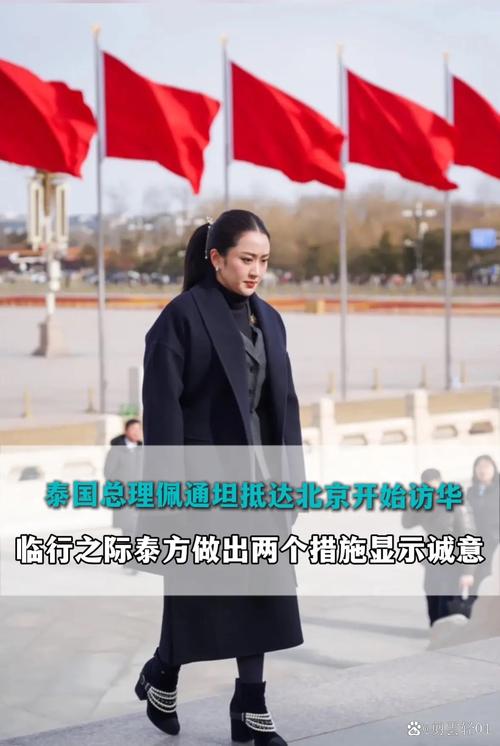 泰国政坛变局,佩通坦出局后的未来走向-图2 泰国政坛变局,佩通坦出局后的未来走向-图2