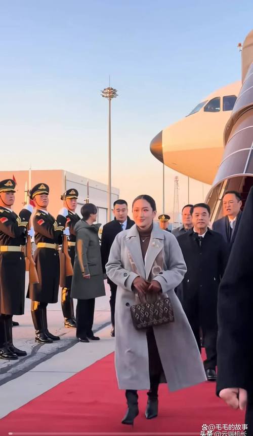 泰国政坛变局,佩通坦出局后的未来走向-图3 泰国政坛变局,佩通坦出局后的未来走向-图3