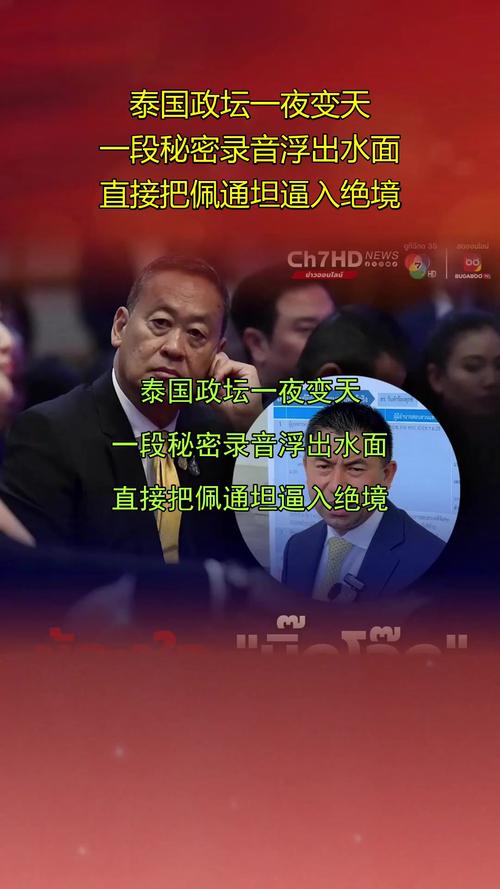 泰国政坛变局,佩通坦出局后的未来走向-图1 泰国政坛变局,佩通坦出局后的未来走向-图1