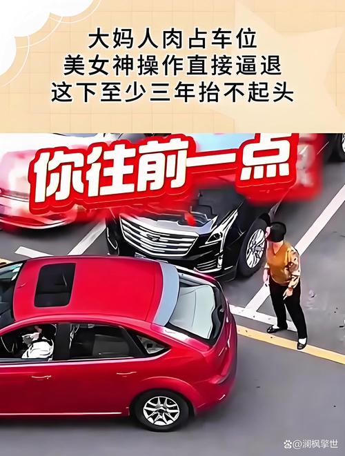 私车占用半小时遭200元罚款，车位纠纷引关注-图3