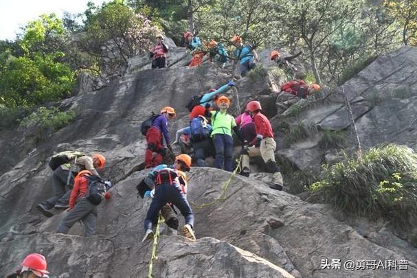 陪爬服务热潮下的边界探讨与规范-图3