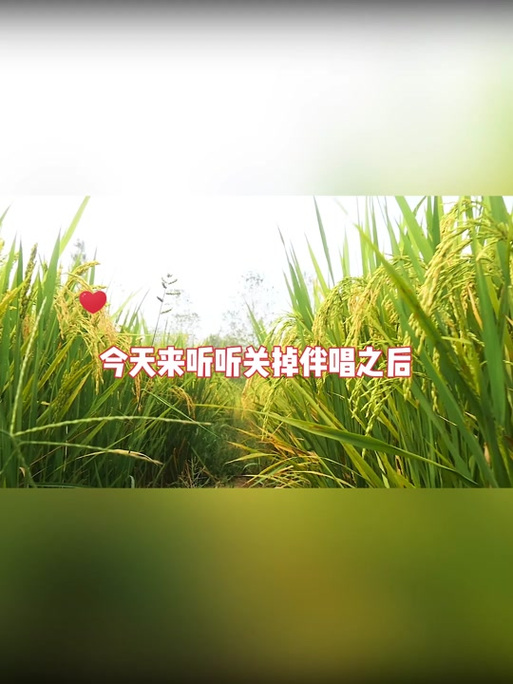 稻香旋律下,多段视频剪辑的艺术之旅-图1 稻香旋律下,多段视频剪辑的艺术之旅-图1