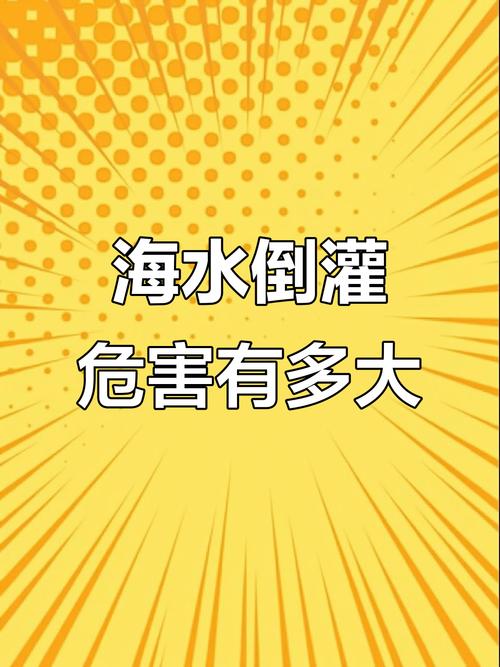 翔安隧道海水倒灌消息不实，厦门交警官方辟谣-图2